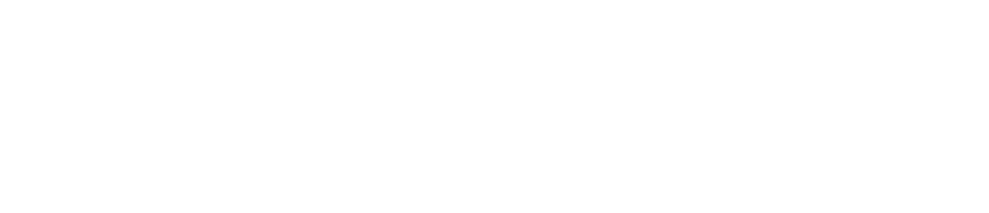 XLR8, Revenue Management System